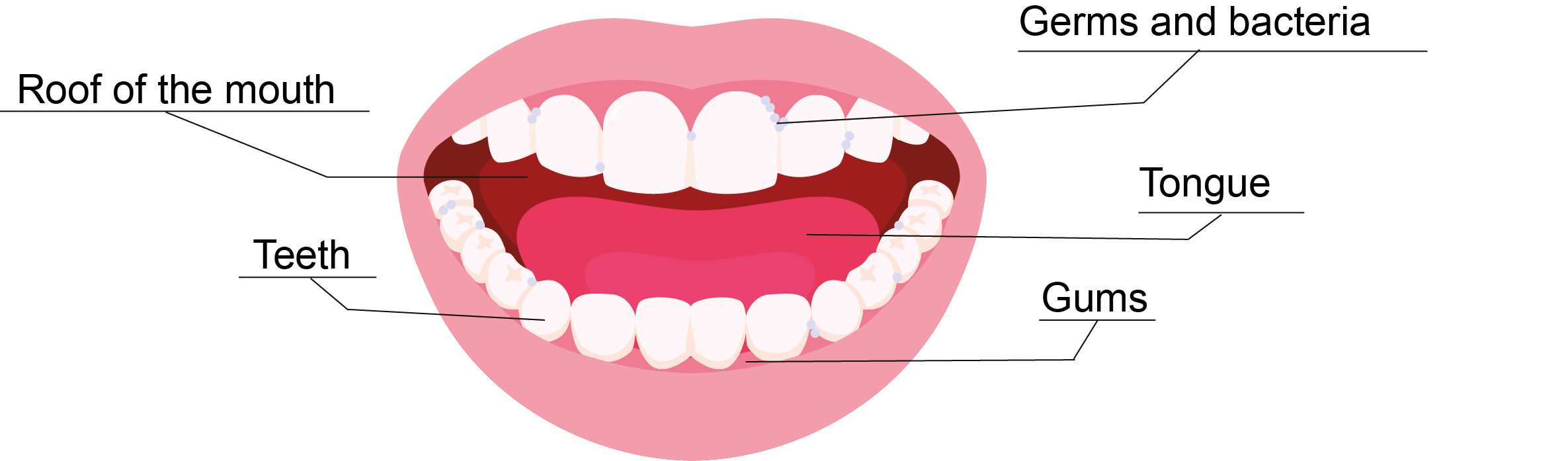 Mouth graphic