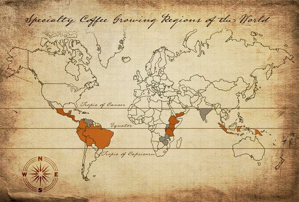 dünya kahve haritası