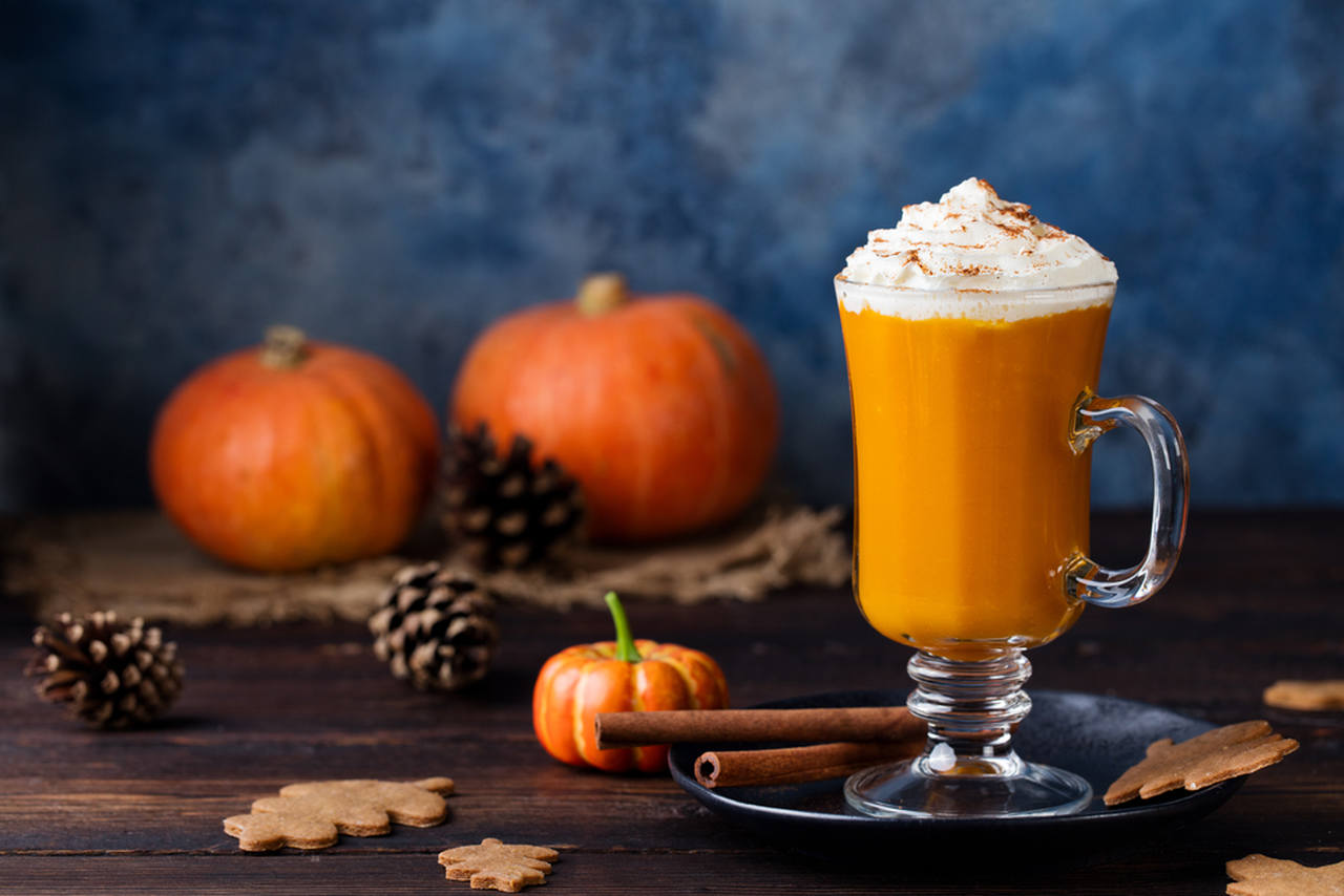 küçük balkabakları yanında pumpkin latte