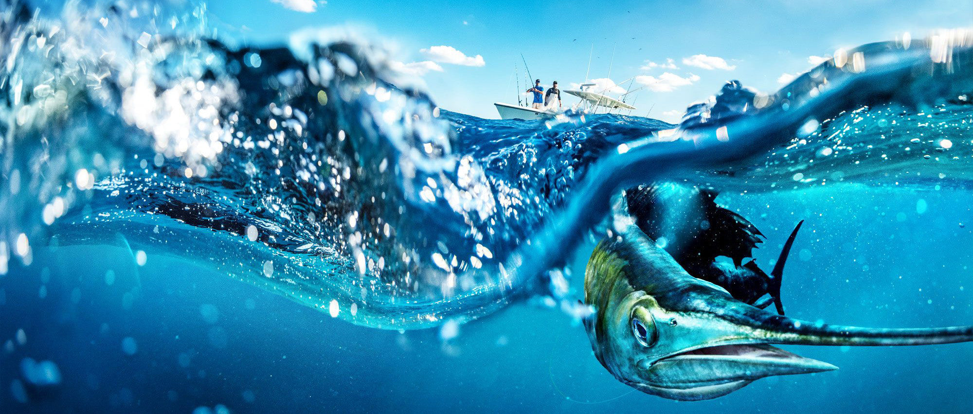 Underwater camera for luxury yachts, fishing boats. Sea what lies under your boat