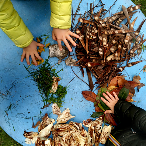 Children's hand playing with a collection of leaves and twigs