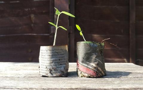 Newspaper Plant Pots
