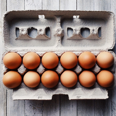 egg carton