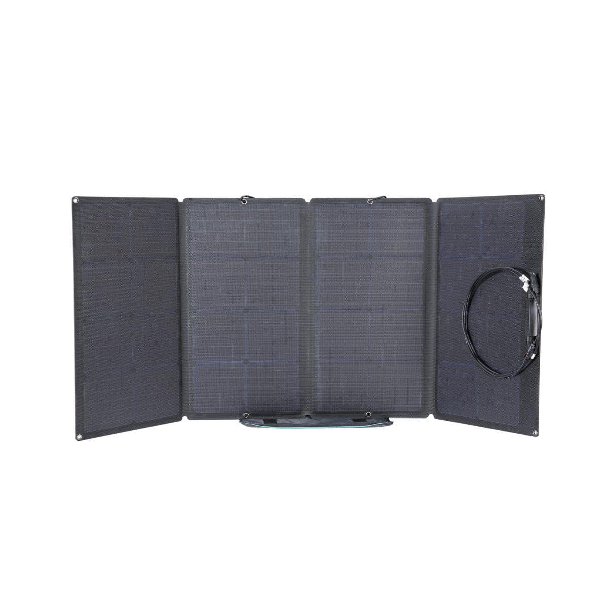 EcoFlow 160W Portable Solar Panel Bundle