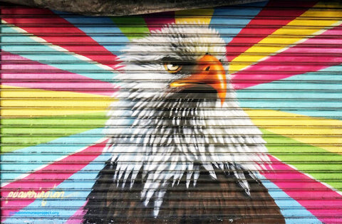 Bald Eagle</strong> by Peter Daverington