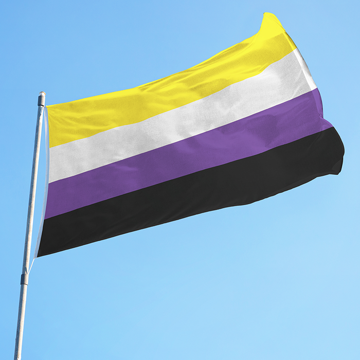 Nonbinary Pride Flag Lgbtq Flags Made In Usa Ace Flag And Visual 3759