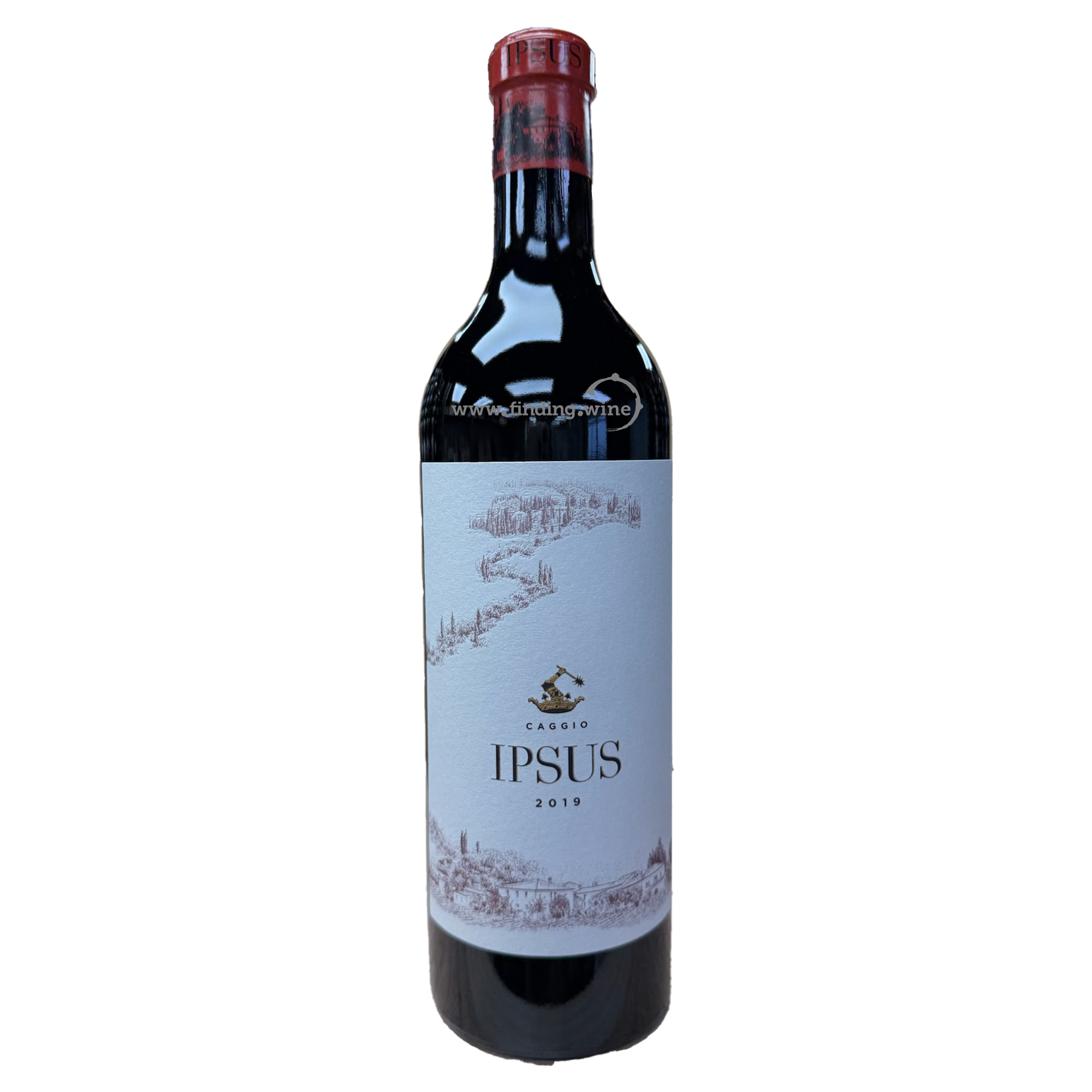 IL CAGGIO - 2019 - Ipsus Chianti Classico Gran Selezione - 750 ml.