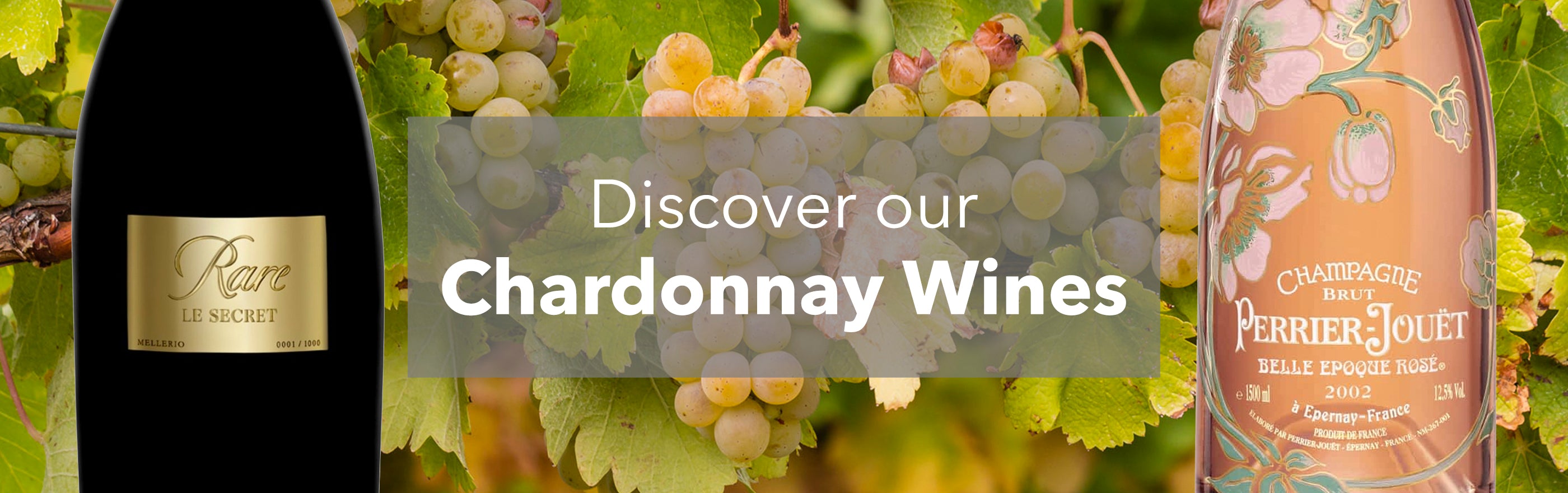 buy chardonnay wines online shop