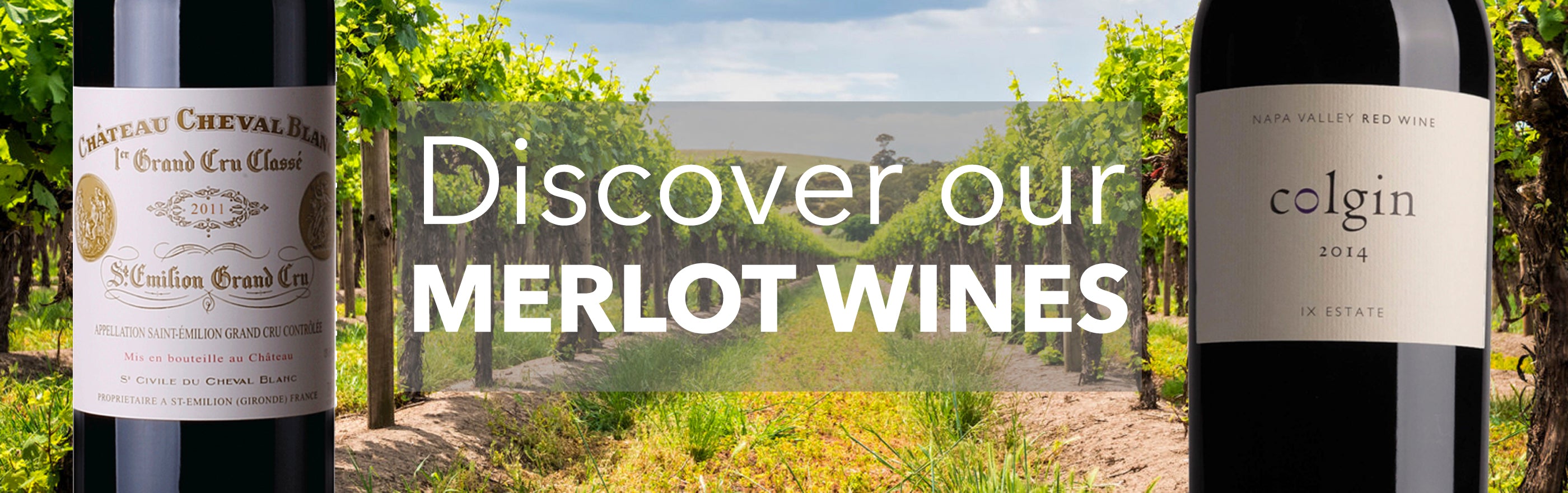 Buy Merlot wines online – wine -