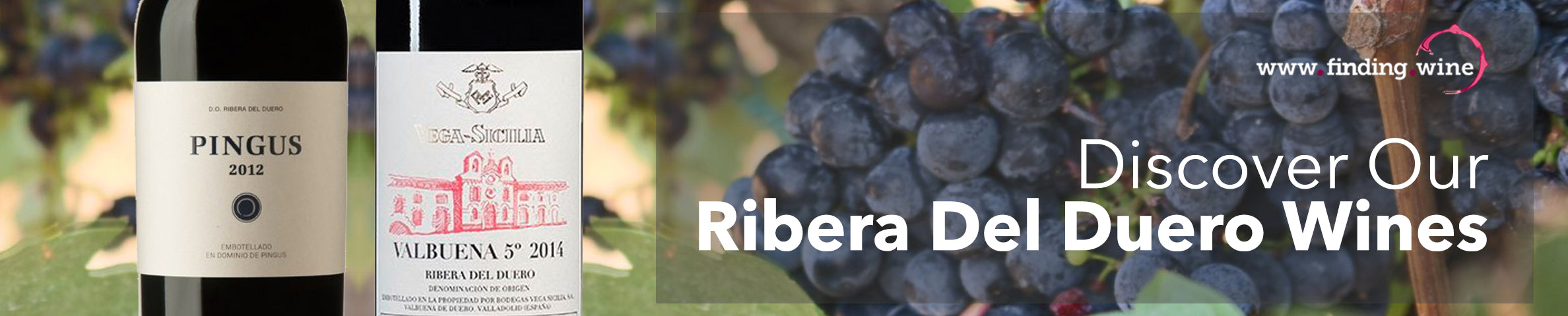 Buy Ribera del Duero Wines Online Store