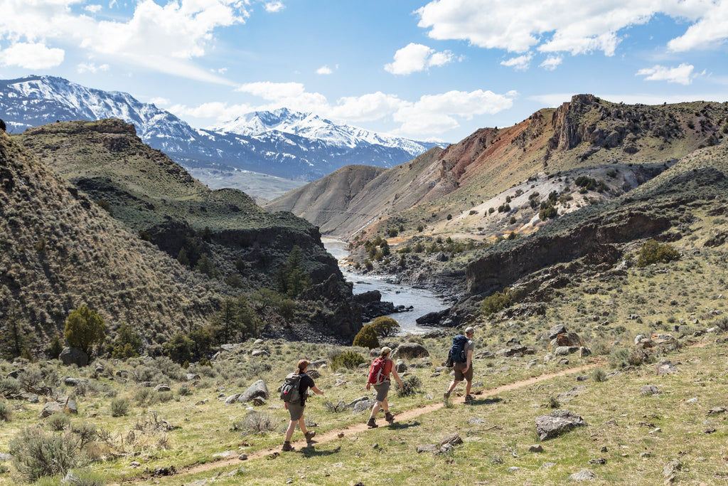 Hikers along the Yellowstone River Trail with Electric Peak in the distance
