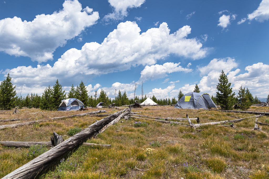 Camping in Yellowstone National Park