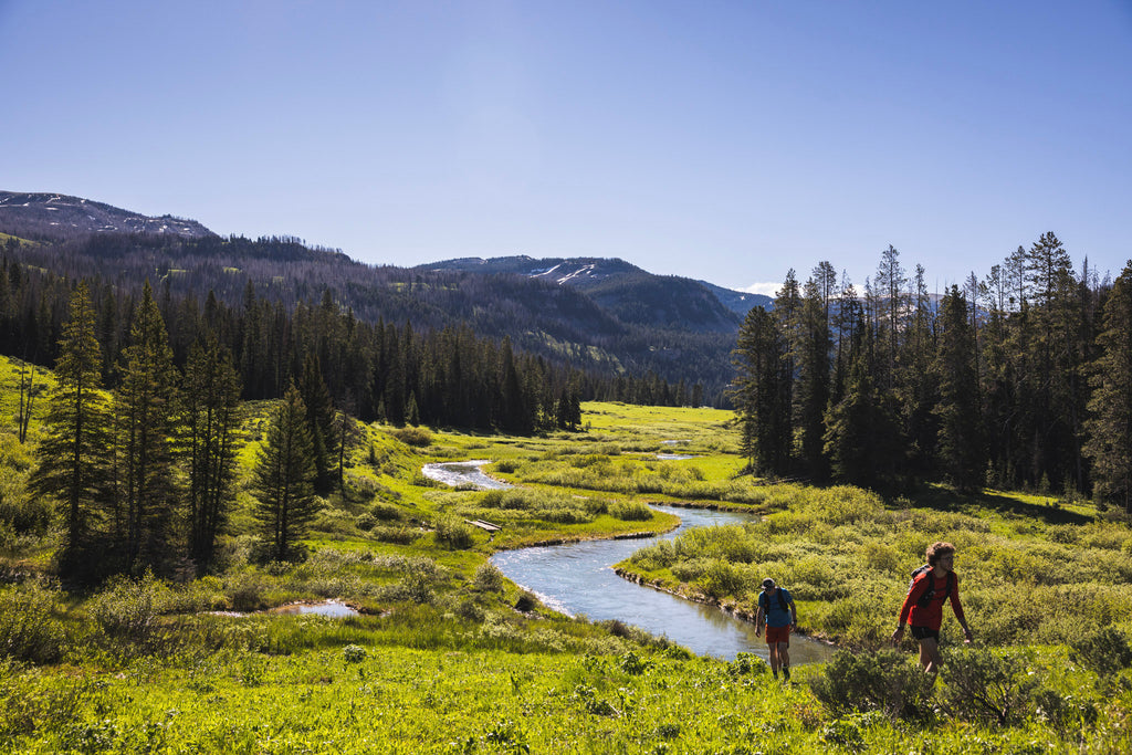 Trail Run in Yellowstone National Park