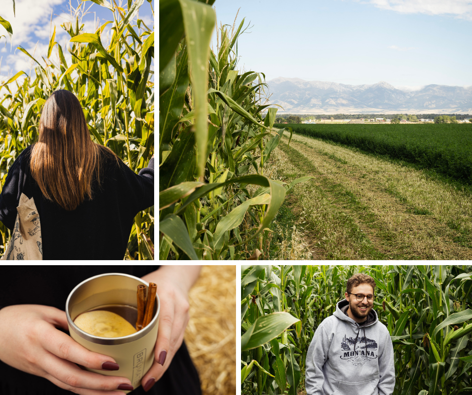 Montana Corn Maze, Best Places for Fall Adventures in the Gallatin Valley