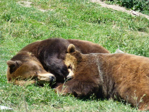 Jake and Maggie