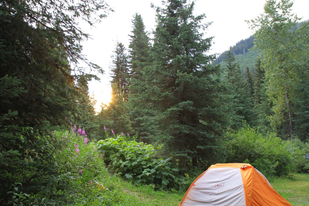 Camping in Montana