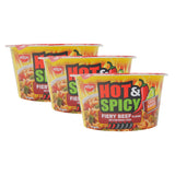 Nissin Hot & Spicy, Fiery Beef Flavor, Chili Sauce, 3.32 oz Bowl