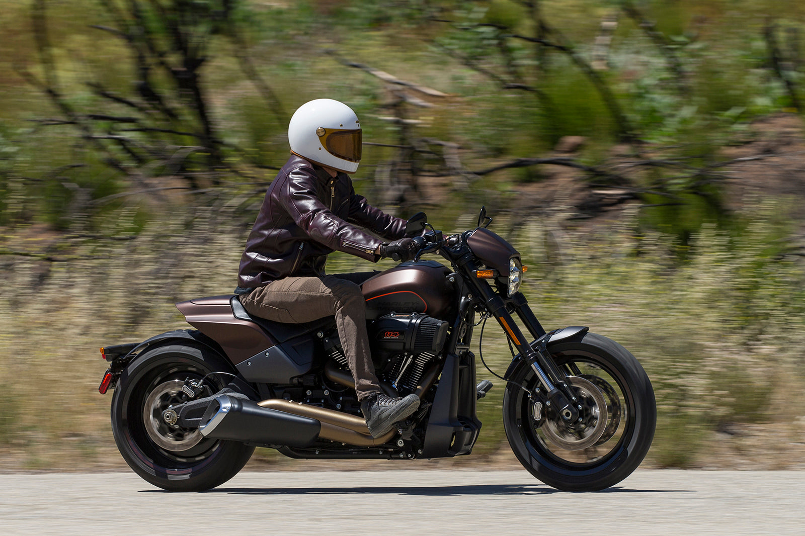  Harley Davidson FXDR 114 Iron Air