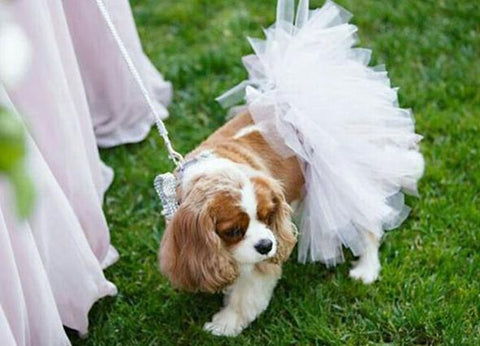 White bridal dog outfit, dog tutu in white, large dog tutus