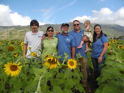 Pacific Biodiesel sunflowers