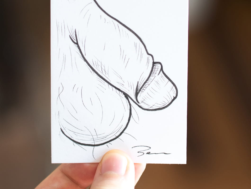 Penis Draw