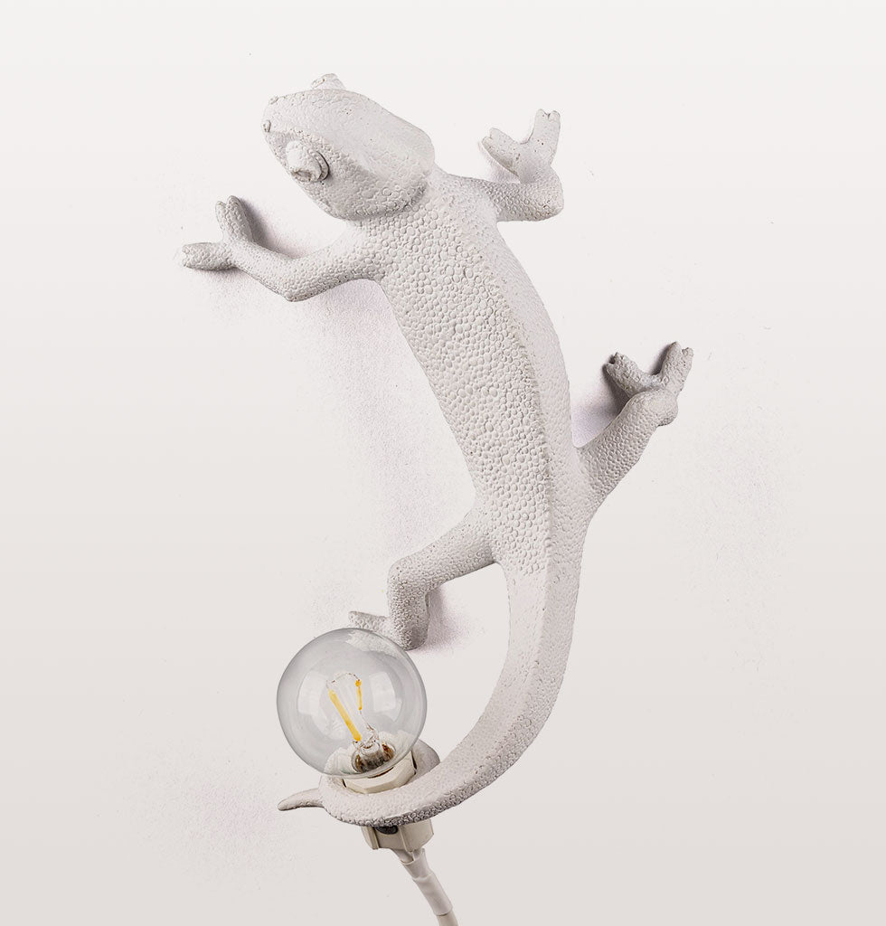 lizard light