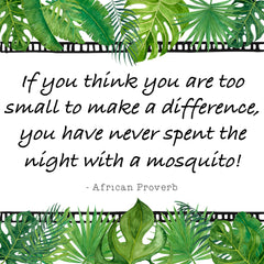 African proverb mosquito
