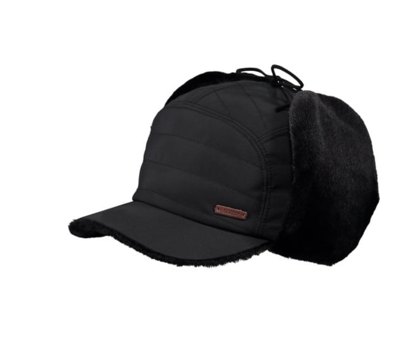 - Winter Mens Boise Cap Barts