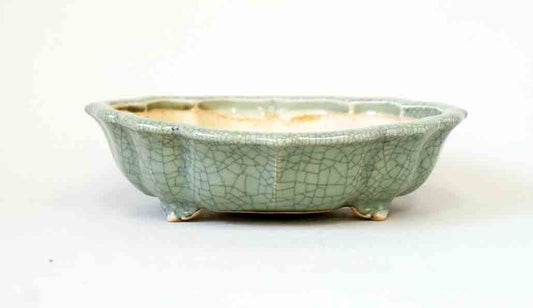 Shallow Eggshell Kusamono or Bonsai Pot Dark Oxide – Little Pots by KK