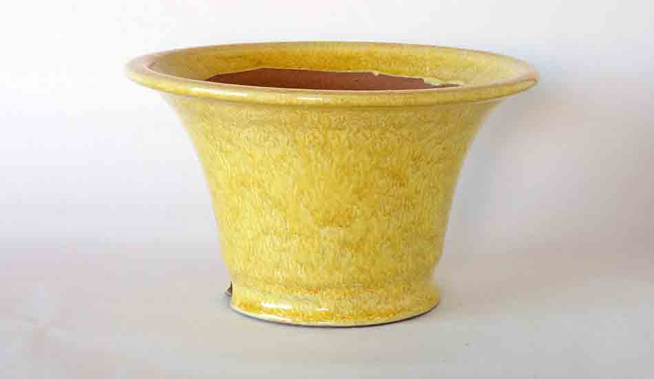 Running Yellow  Glazed Bonsai  Pot  by Shuuhou Shipping 