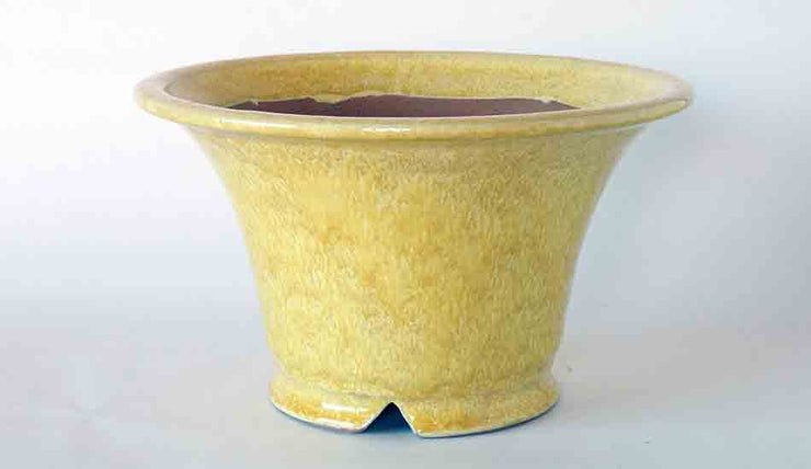 Running Yellow  Glazed Bonsai  Pot  by Shuuhou Shipping 