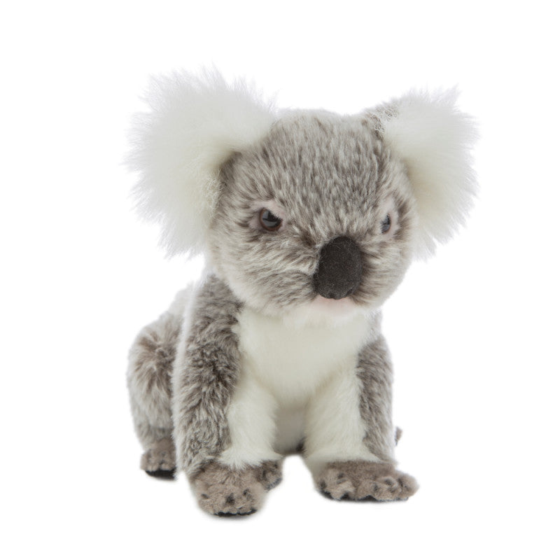 koala cuddly toy