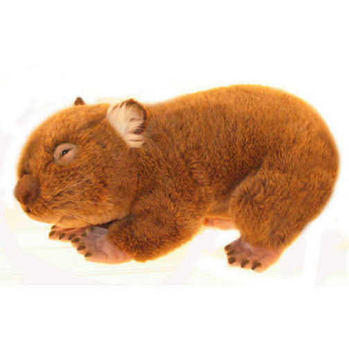 wombat plush animal