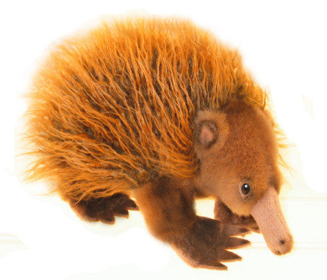 echidna soft toy