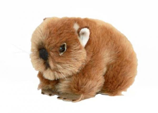 wombat soft toy