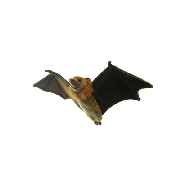 flying fox dog toy