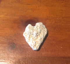 heart shaped coral