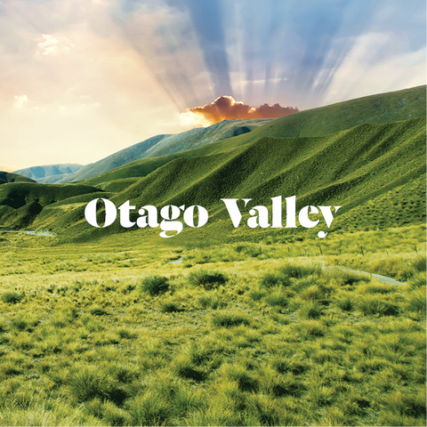 Otago-Valley