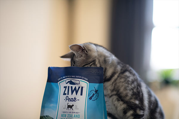 cat looking into a bag of Ziwi peak air dried food
