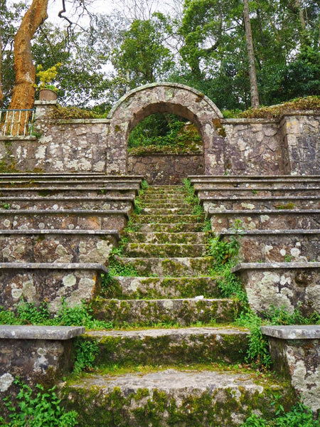 Sintra Botanic Gardens