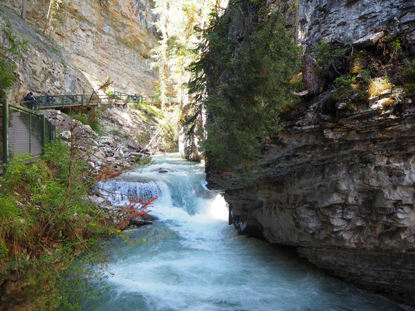 Johnston Canyon