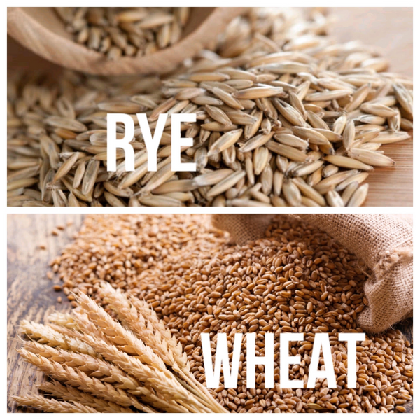 Why Rye is Better Than Wheat BreadVillage