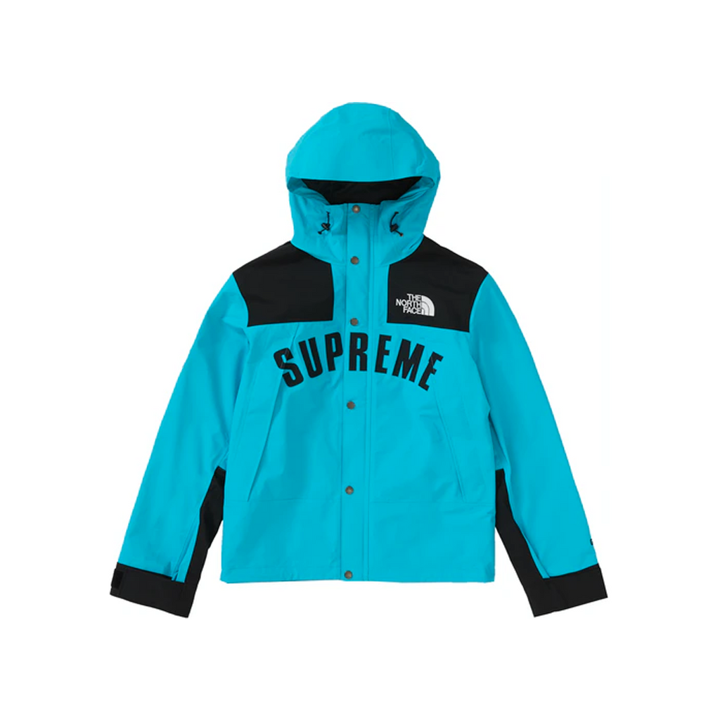 parka the north face supreme