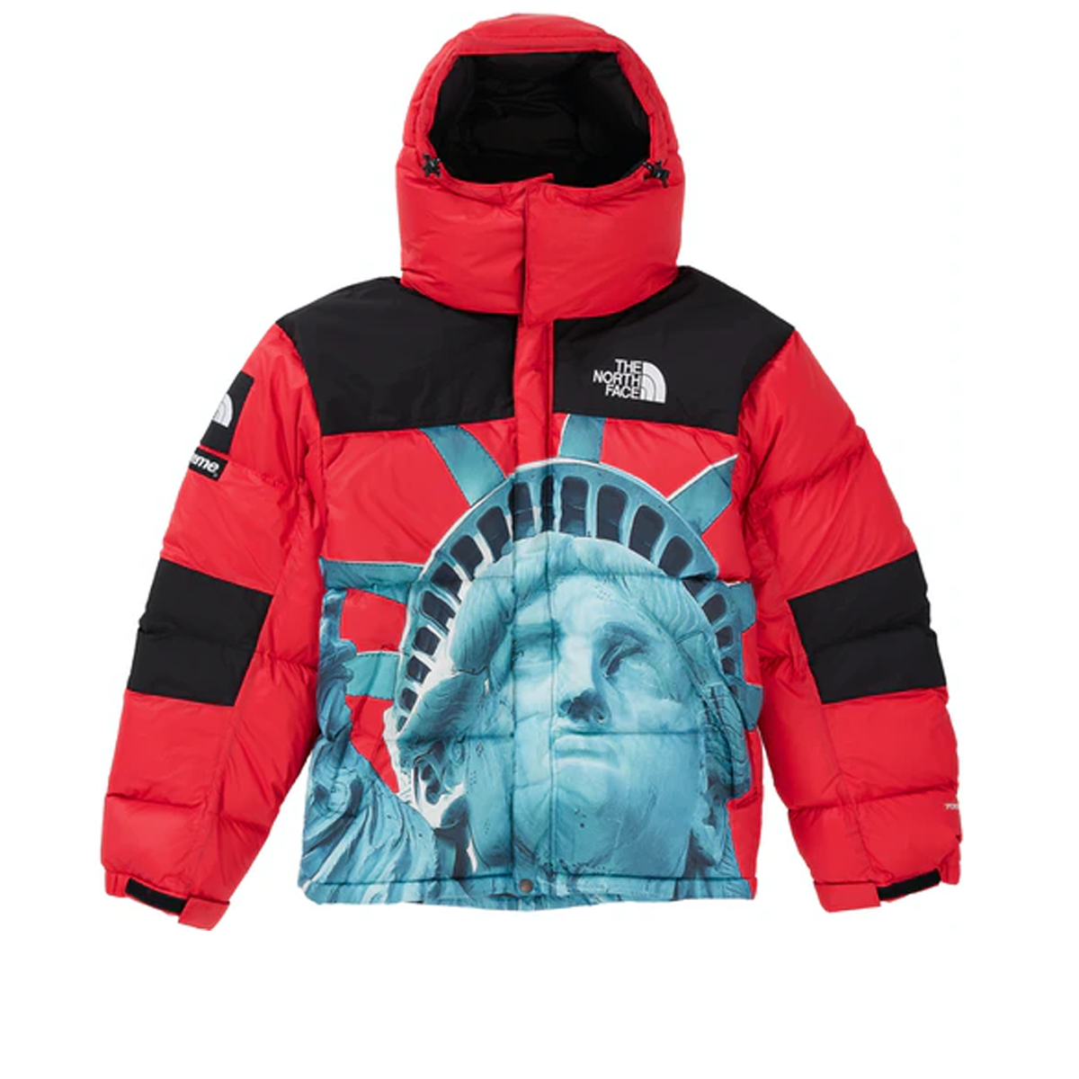 black north face jacket with red logo