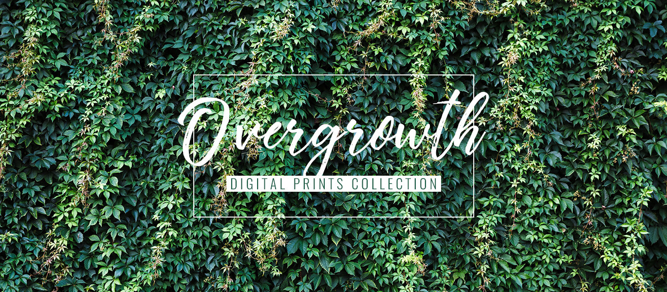 Overgrowth living wall wallpapers