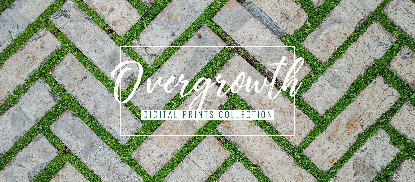 Overgrowth living wall wallpapers