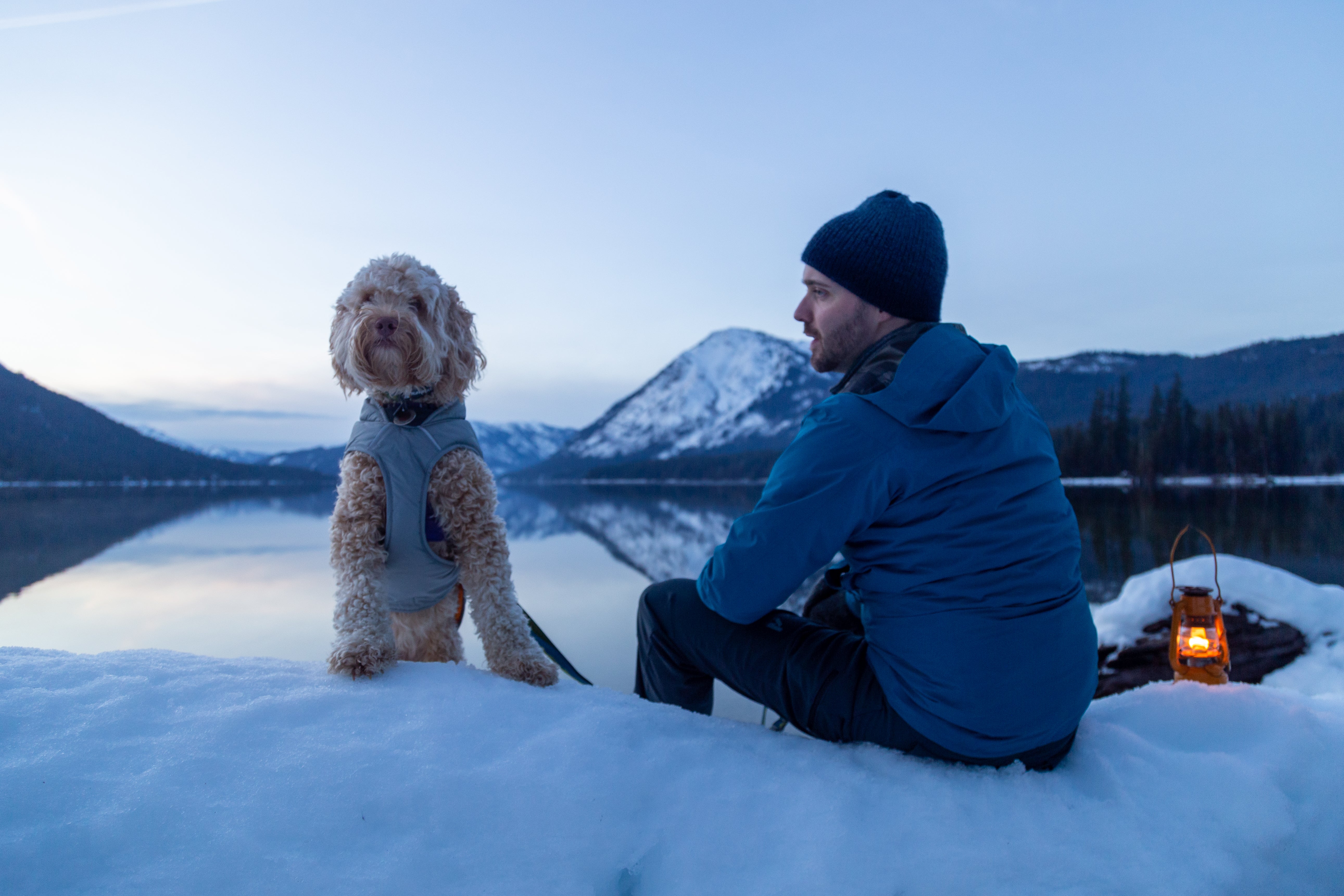 What Gear to Bring on Winter Adventures With Your Dog - Snow dog adventures