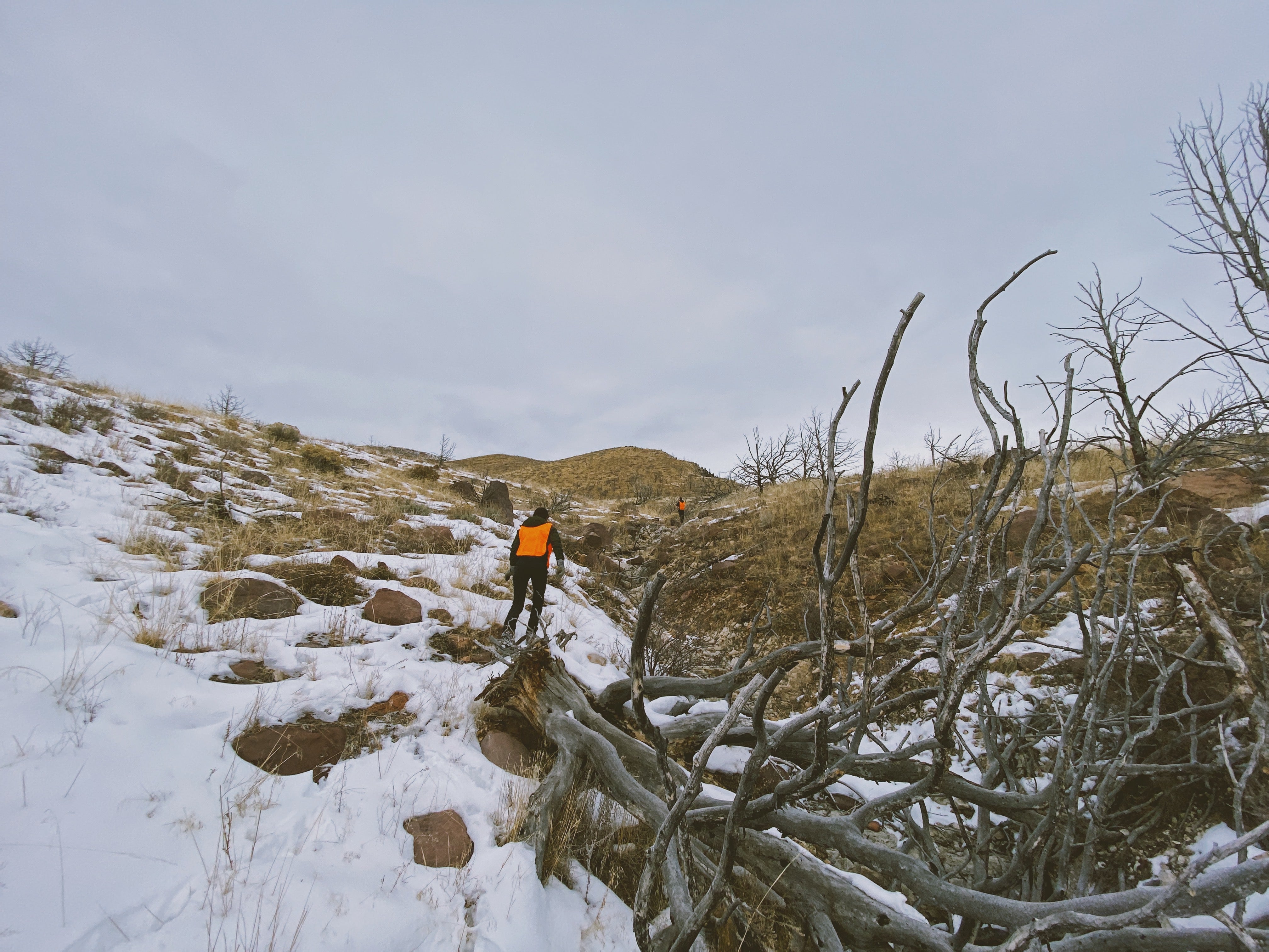 How the Sausage Gets Made: What Goes Into a Successful Elk Hunt (Plus an Elk Sausage Recipe) - Winter Hunting