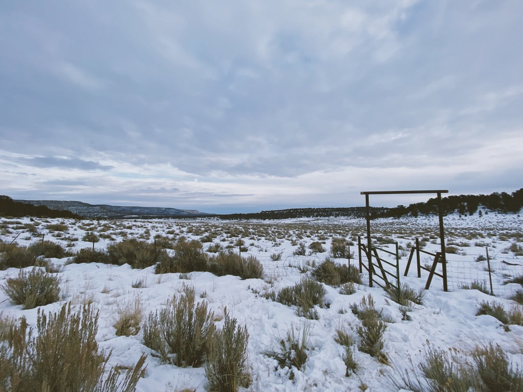 How the Sausage Gets Made: What Goes Into a Successful Elk Hunt (Plus an Elk Sausage Recipe) - Winter Scene