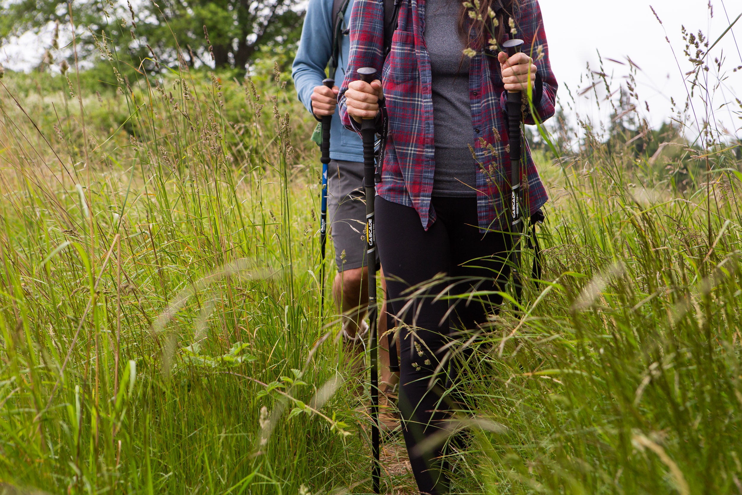 How to Choose Walking Hiking Sticks and Trekking Poles – Cascade